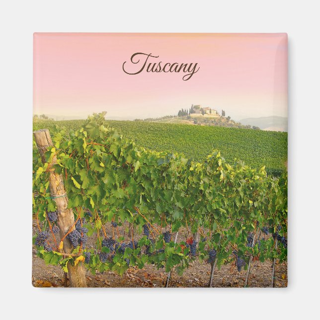 Aimant Toscane Italie Vignoble italien Photo (Devant)