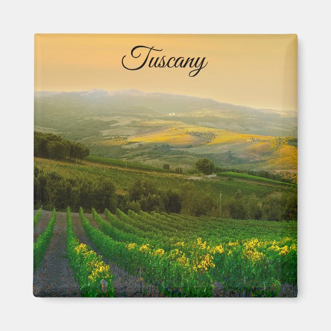 Aimant Toscane Italie Vignoble italien Photo (Devant)