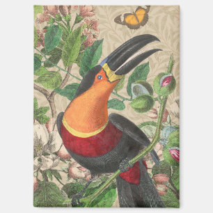 Aimant Toucan Jungle Tropical Bird Belle antique
