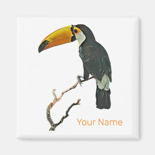 Aimant Toucan Portrait Animal Tropical Bird Design