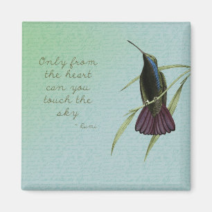 Aimant Touchez le colibri du ciel