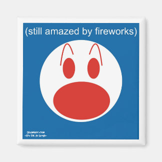 Aimant Toujours Étonné Par Les Feux D'Oeuvre