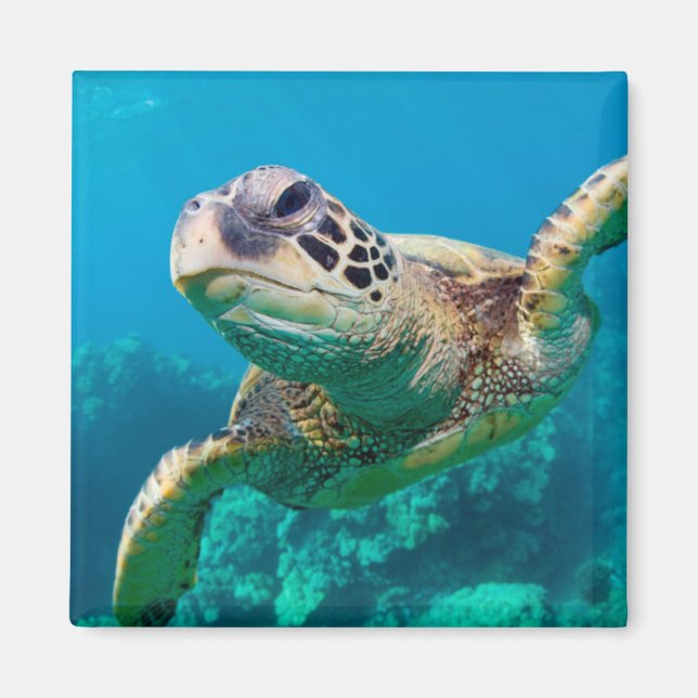Aimant Tourbillon de Green Sea |hawaï (Devant)