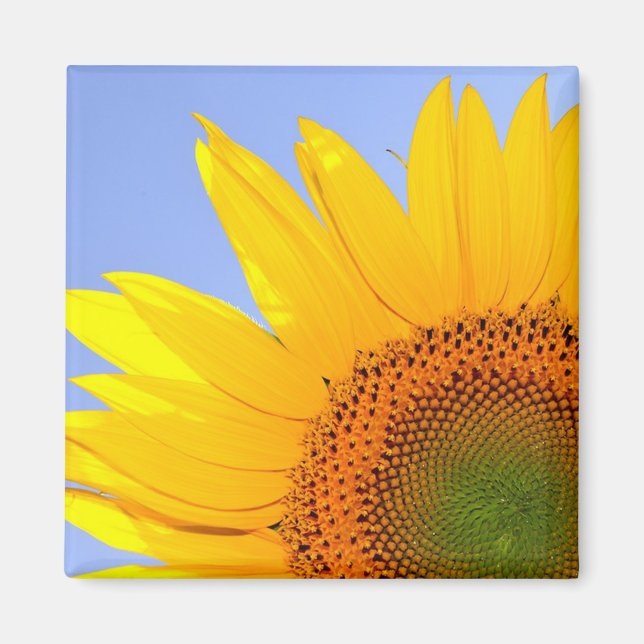 Aimant Tournesol (Devant)