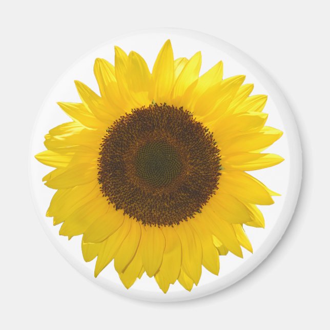 Aimant Tournesol (Devant)