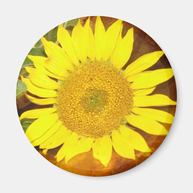 Aimant Tournesol (Devant)