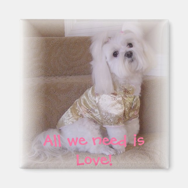 Aimant Tout ce qu'il nous faut, c'est l'Amour ! (Devant)