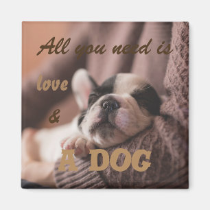 Aimant Tout que vous avez besoin est amour et un chien