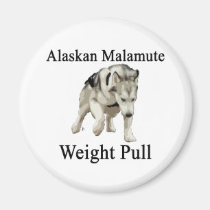 Aimant Traction de poids de Malamute d'Alaska