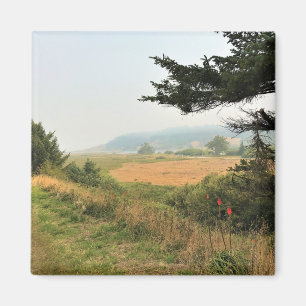 Aimant Trail at Cape Blanco