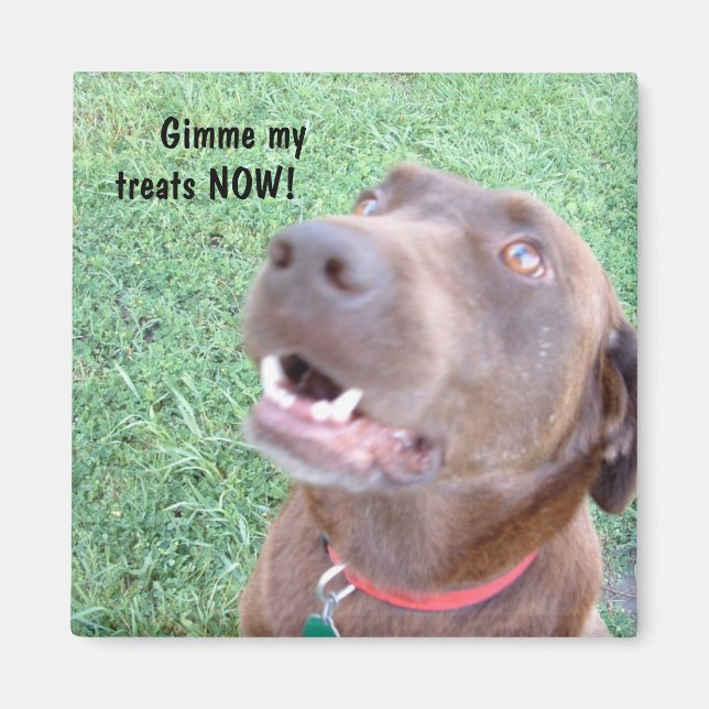 Aimant Traite maintenant l'aimant (Devant)