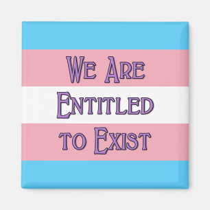 Aimant Trans We Are...