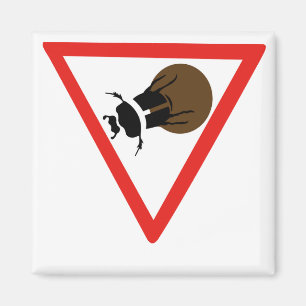 Aimant Traversée du dung Beetle, panneau du Pacifique, Af