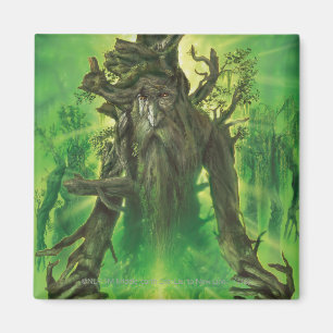 Aimant Treebeard