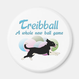 Aimant Treibball