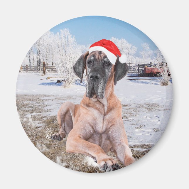 Aimant Très Beau Chien Danse Assis Dans Le Casquette De N (Devant)