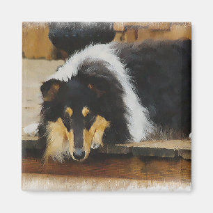 Aimant Tri Color Rough Collie Cadeaux Art