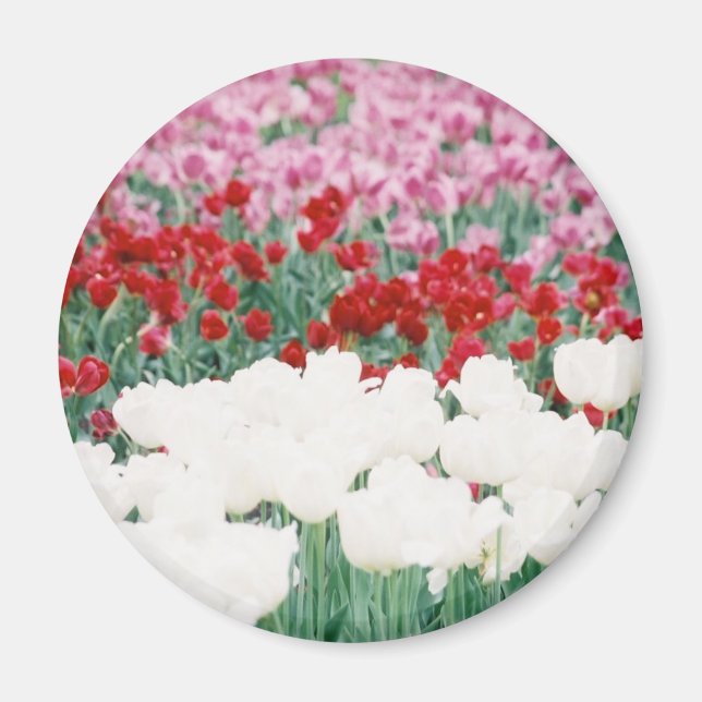 Aimant Tri coloré (Devant)