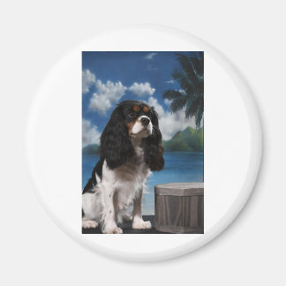 Aimant Tri couleur Cavalier King Charles Spaniel