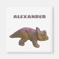 Tricératops Et Votre Nom Toy Dinosaur