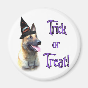 Aimant Trick Malinois