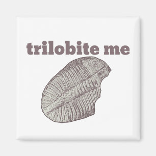 Aimant Trilobite Me