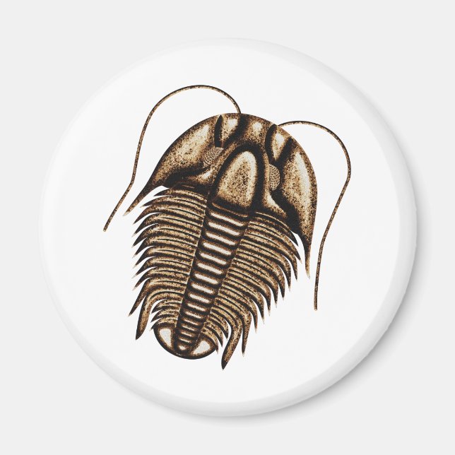Aimant Trilobite Réfrigérateur magnétique (Devant)