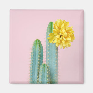 Aimant Trio bleu de cactus