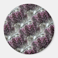 Trippin' Tidepools....