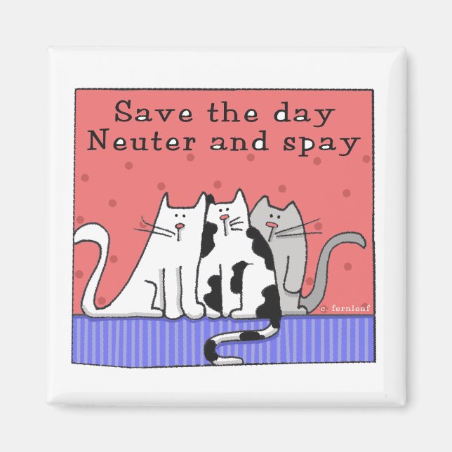 Aimant Trois chats Neuter et Spay (Devant)