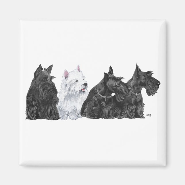 Aimant Trois Curious Scotties et un Westie (Devant)