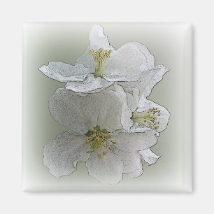 Aimant trois fleurs blanches