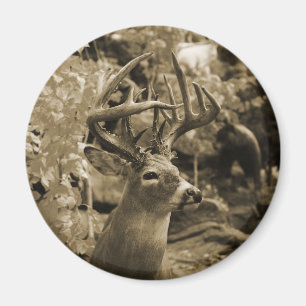 Aimant Trophée Deer