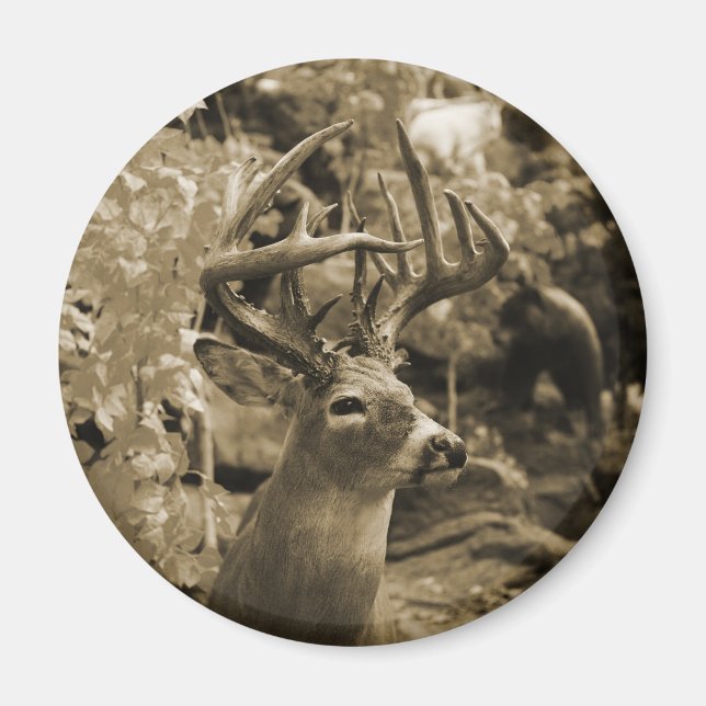 Aimant Trophée Deer (Devant)