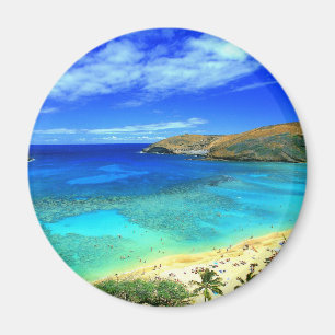 AIMANT TROPICAL BEACH SOUHAITE QUE VOUS ÉTIEZ ICI CARTE P