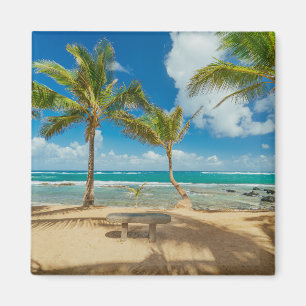 Aimant Tropical Beaches   Kuau Cove Beach, Maui Hawaii