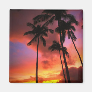 Aimant Tropical Beaches   Maui Hawaii Islands