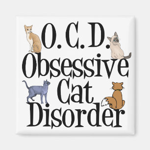 Aimant  Trouble obsessionnel du chat