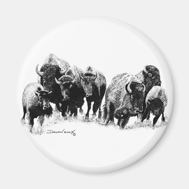 Aimant Troupeau de buffles (Devant)