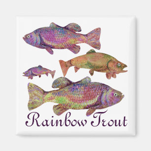 AIMANT TROUT RAINBOW COLORFUL
