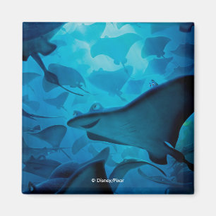 Aimant Trouver Dory  Masquer et rechercher - Rays