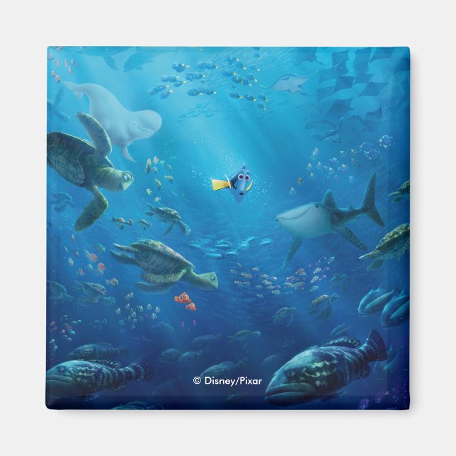 Aimant Trouver Dory | Poster (Devant)
