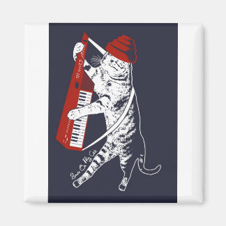 Aimant trucs sur mon chat - keytar