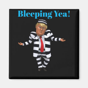 Aimant Trump en prison