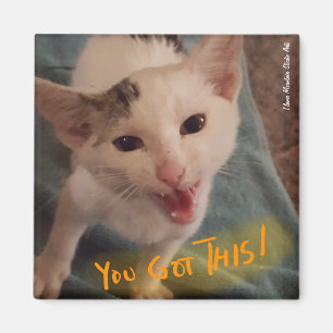 Aimant Tu As Ça ! L'aimant de chaton !