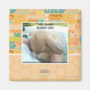 Aimant Tu fais pleurer le lapin