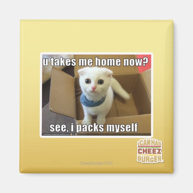 Aimant Tu me ramènes maintenant ? (Devant)