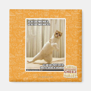 Aimant Tu mets ton pied droit, tu mets ton pied droit