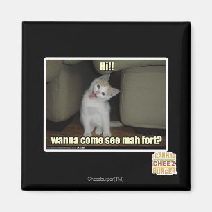 Aimant Tu viens voir le fort de mah ?