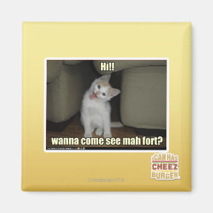 Aimant Tu viens voir le fort de mah ?